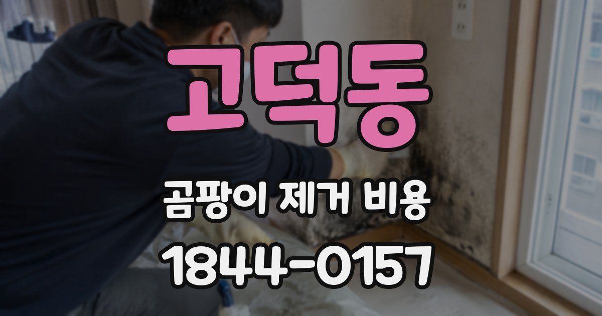 고덕동 곰팡이 제거 비용