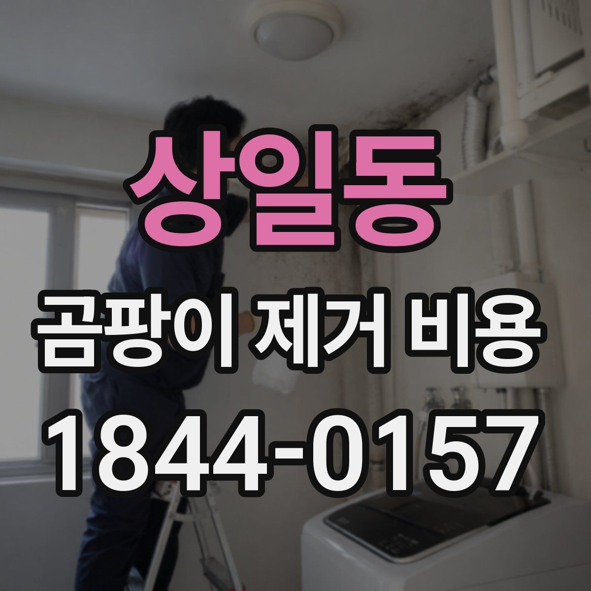 상일동 곰팡이 제거 비용