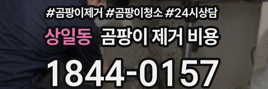 상일동 곰팡이 제거 비용