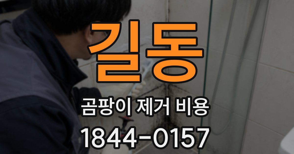 길동 곰팡이 제거 비용