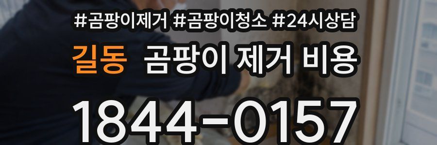 길동 곰팡이 제거 비용