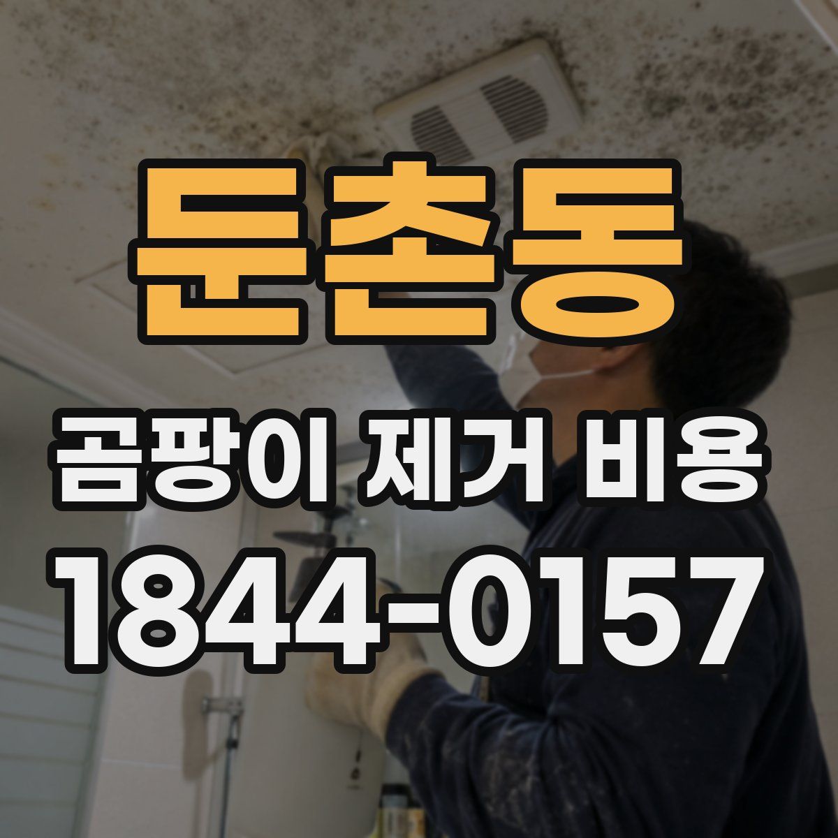 둔촌동 곰팡이 제거 비용