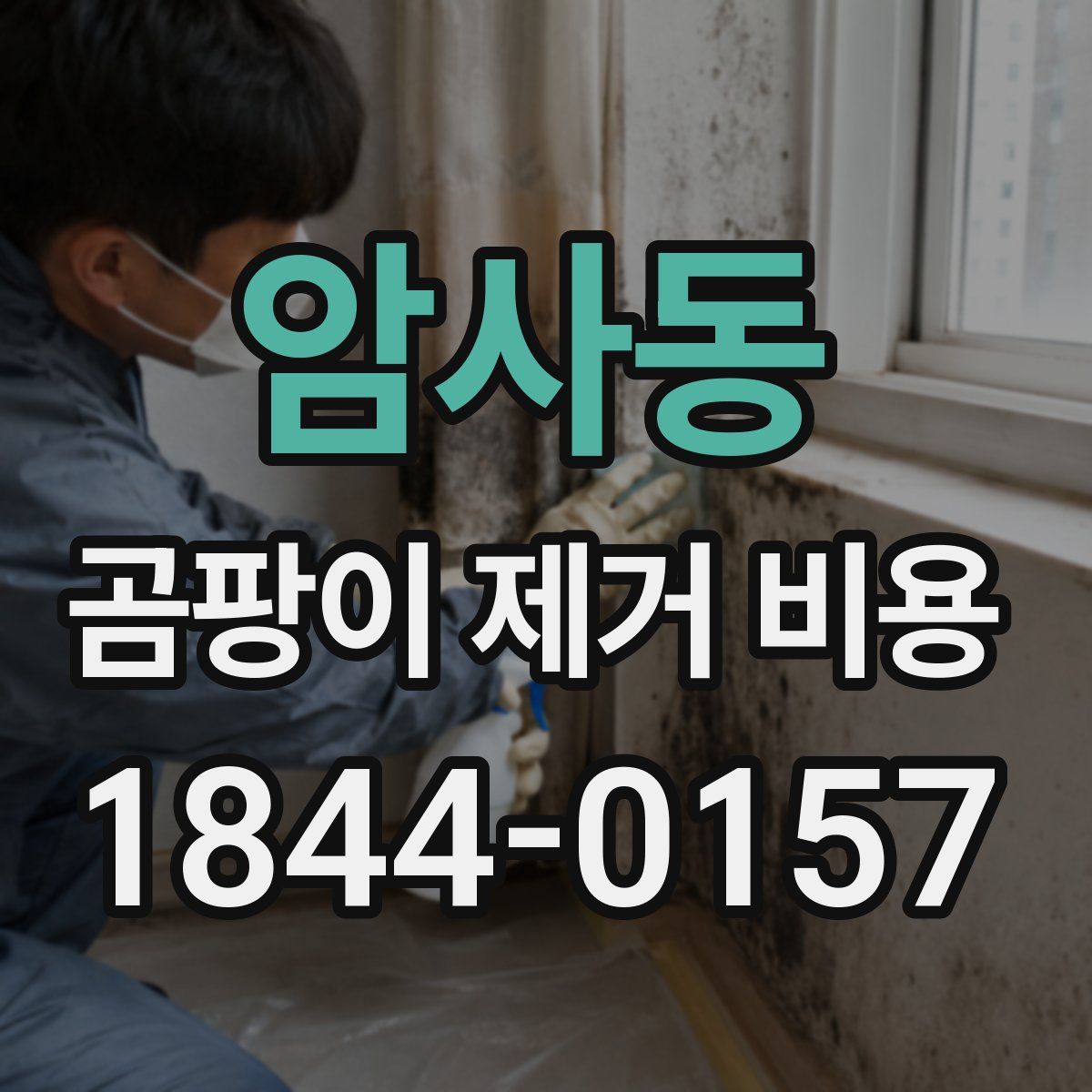 암사동 곰팡이 제거 비용