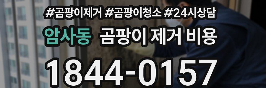 암사동 곰팡이 제거 비용