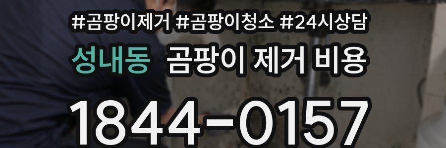 성내동 곰팡이 제거 비용
