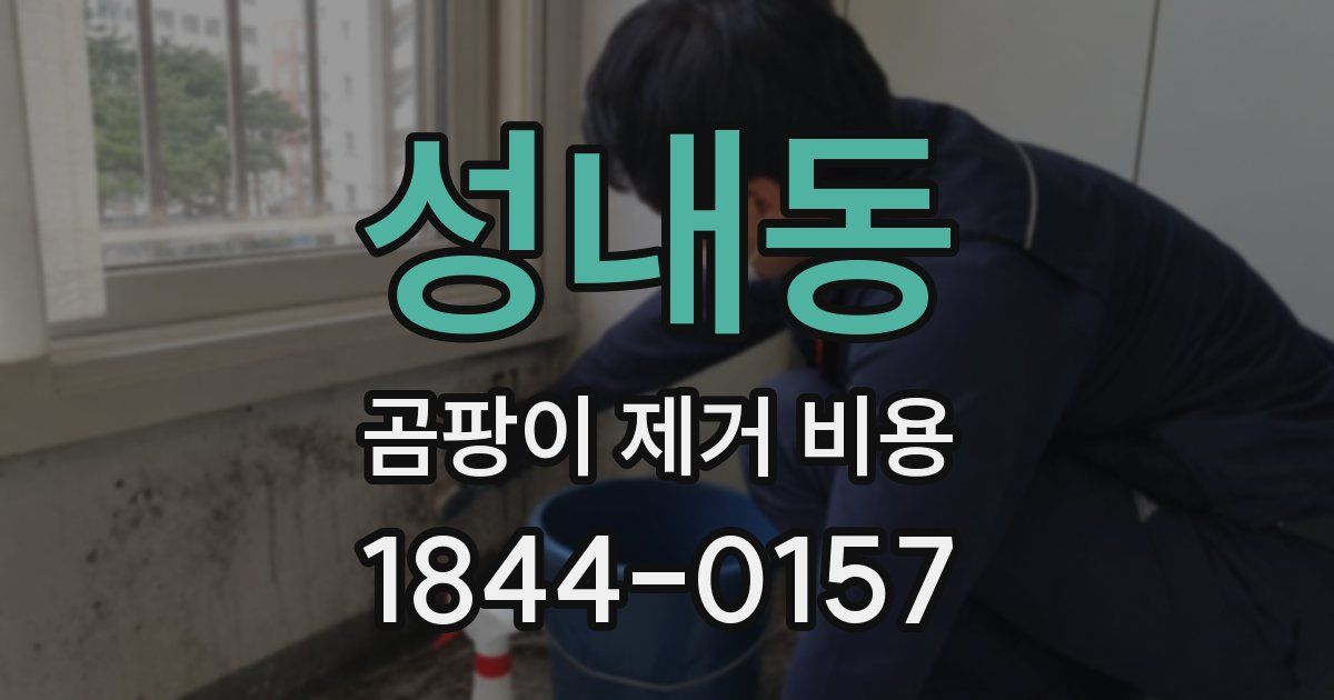 성내동 곰팡이 제거 비용