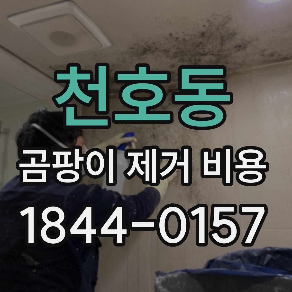 천호동 곰팡이 제거 비용