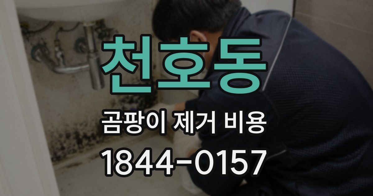 천호동 곰팡이 제거 비용