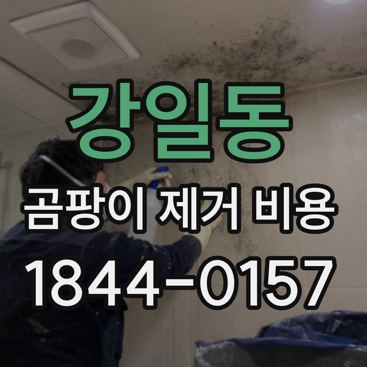 강일동 곰팡이 제거 비용