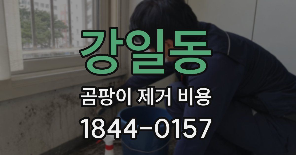 강일동 곰팡이 제거 비용
