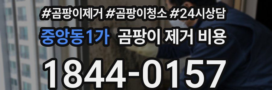 중앙동1가 곰팡이 제거 비용