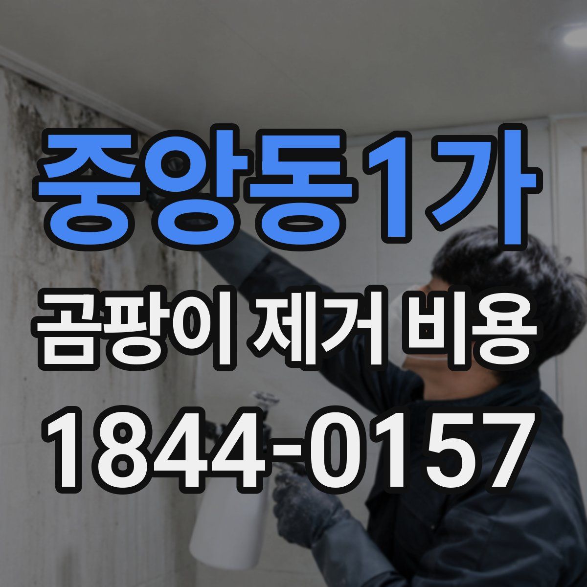 중앙동1가 곰팡이 제거 비용