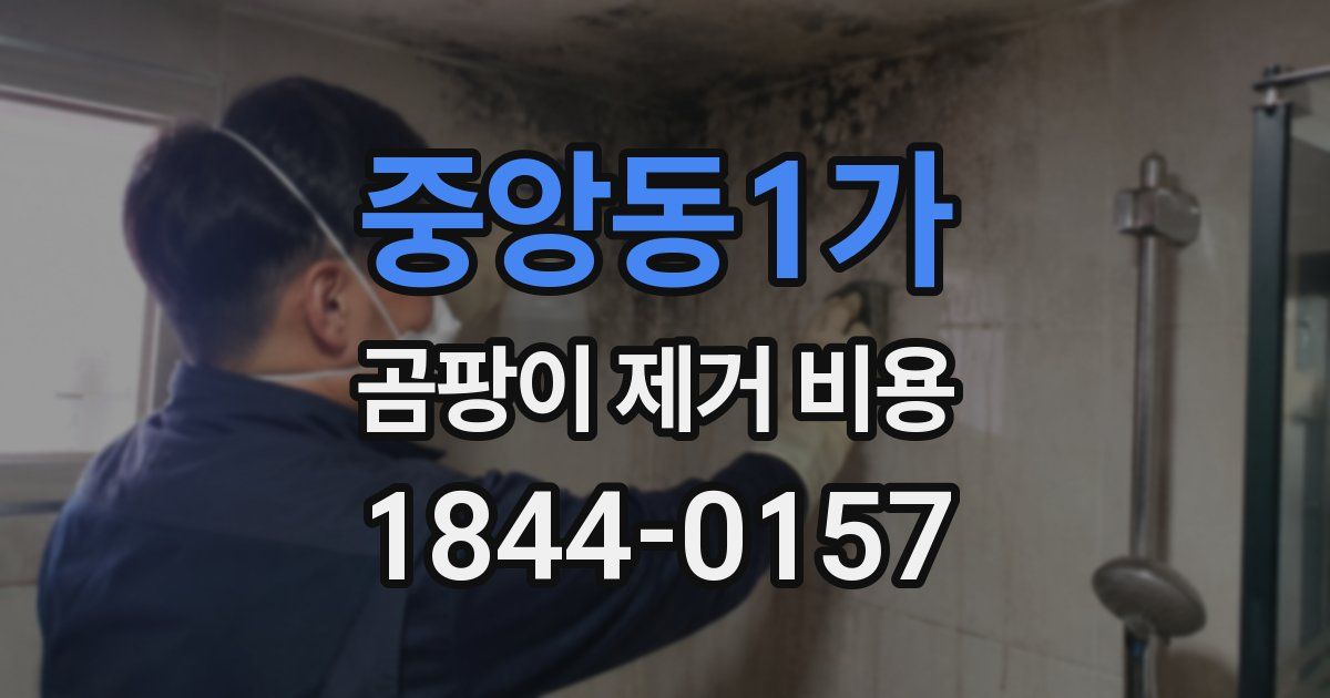 중앙동1가 곰팡이 제거 비용