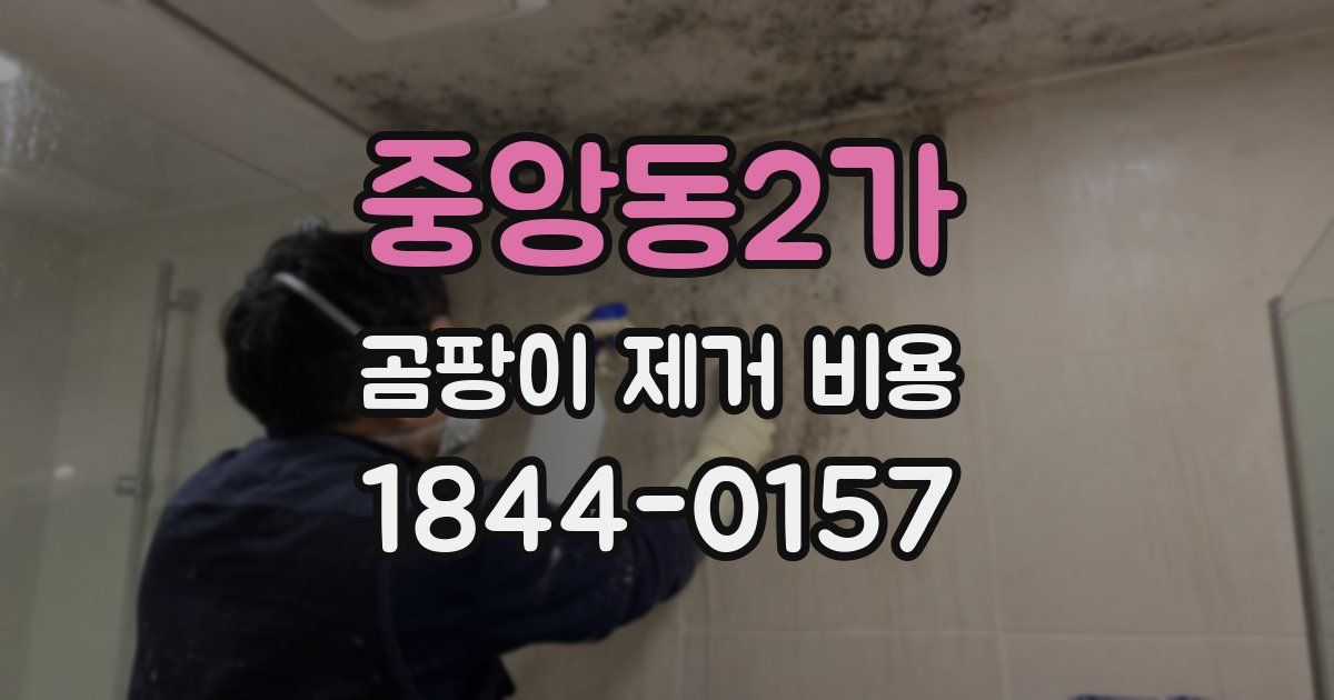 중앙동2가 곰팡이 제거 비용
