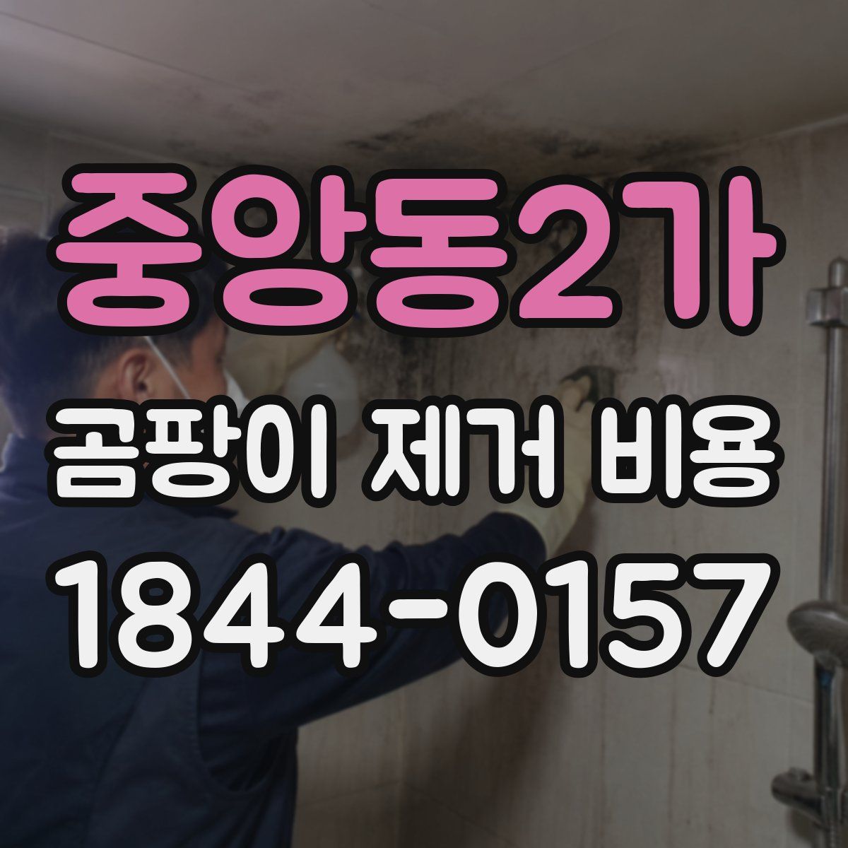 중앙동2가 곰팡이 제거 비용