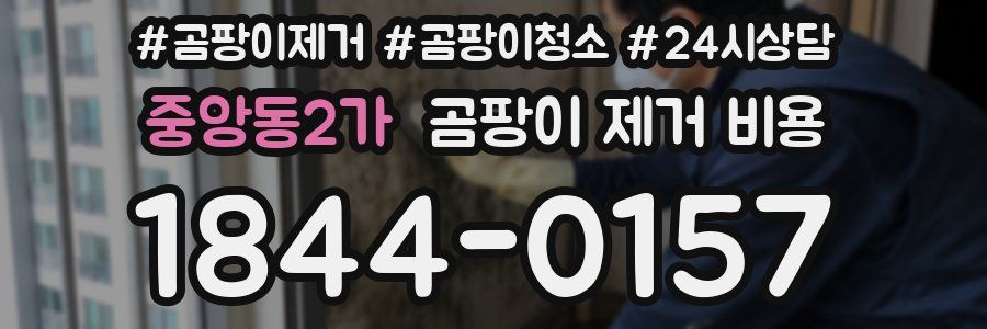 중앙동2가 곰팡이 제거 비용