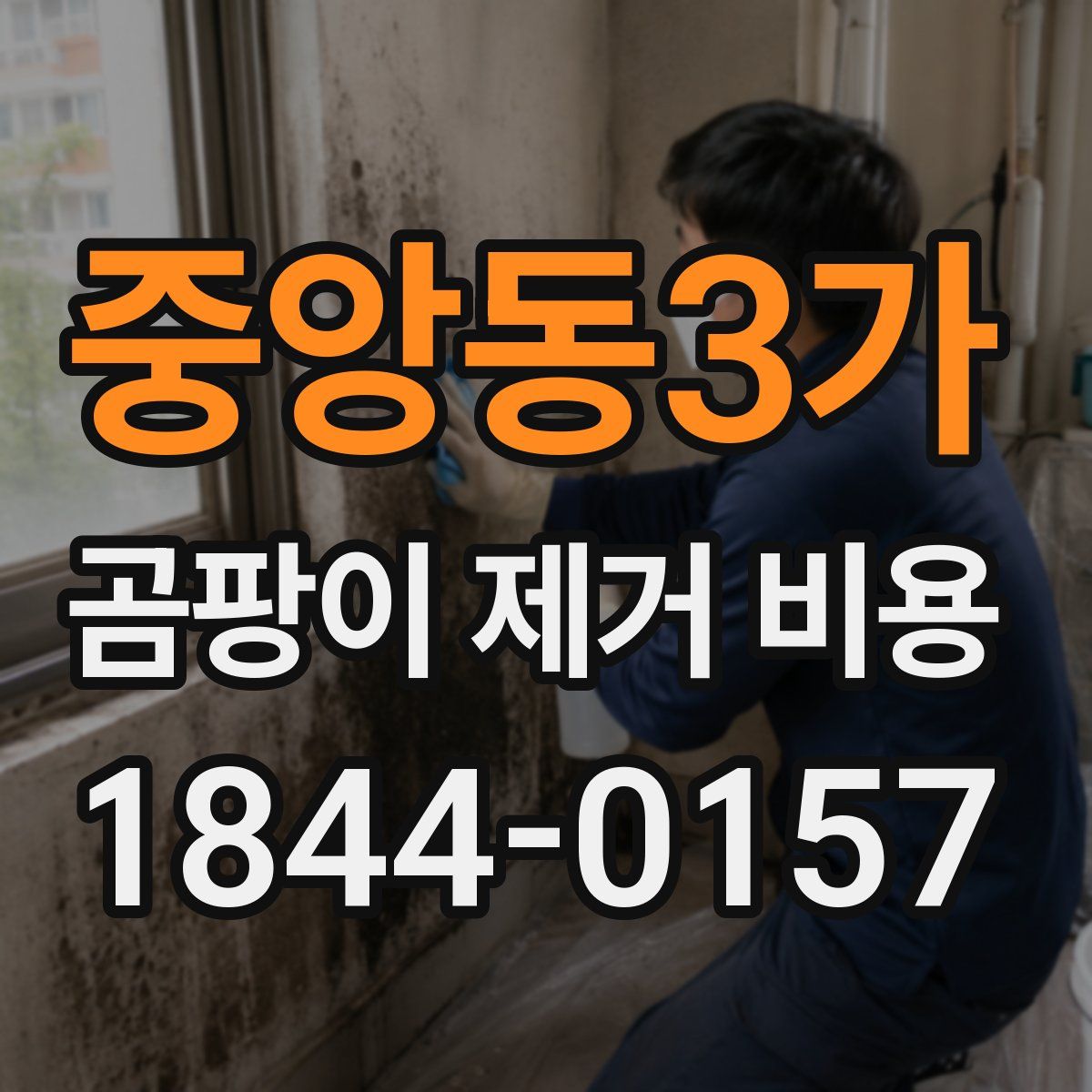 중앙동3가 곰팡이 제거 비용