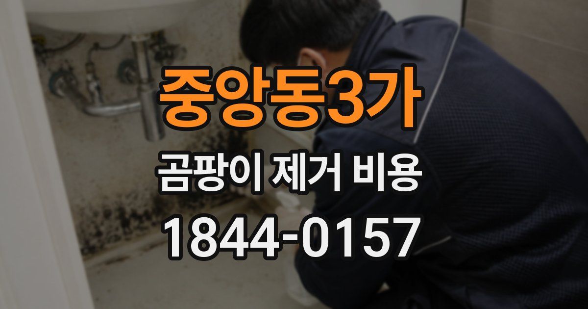 중앙동3가 곰팡이 제거 비용