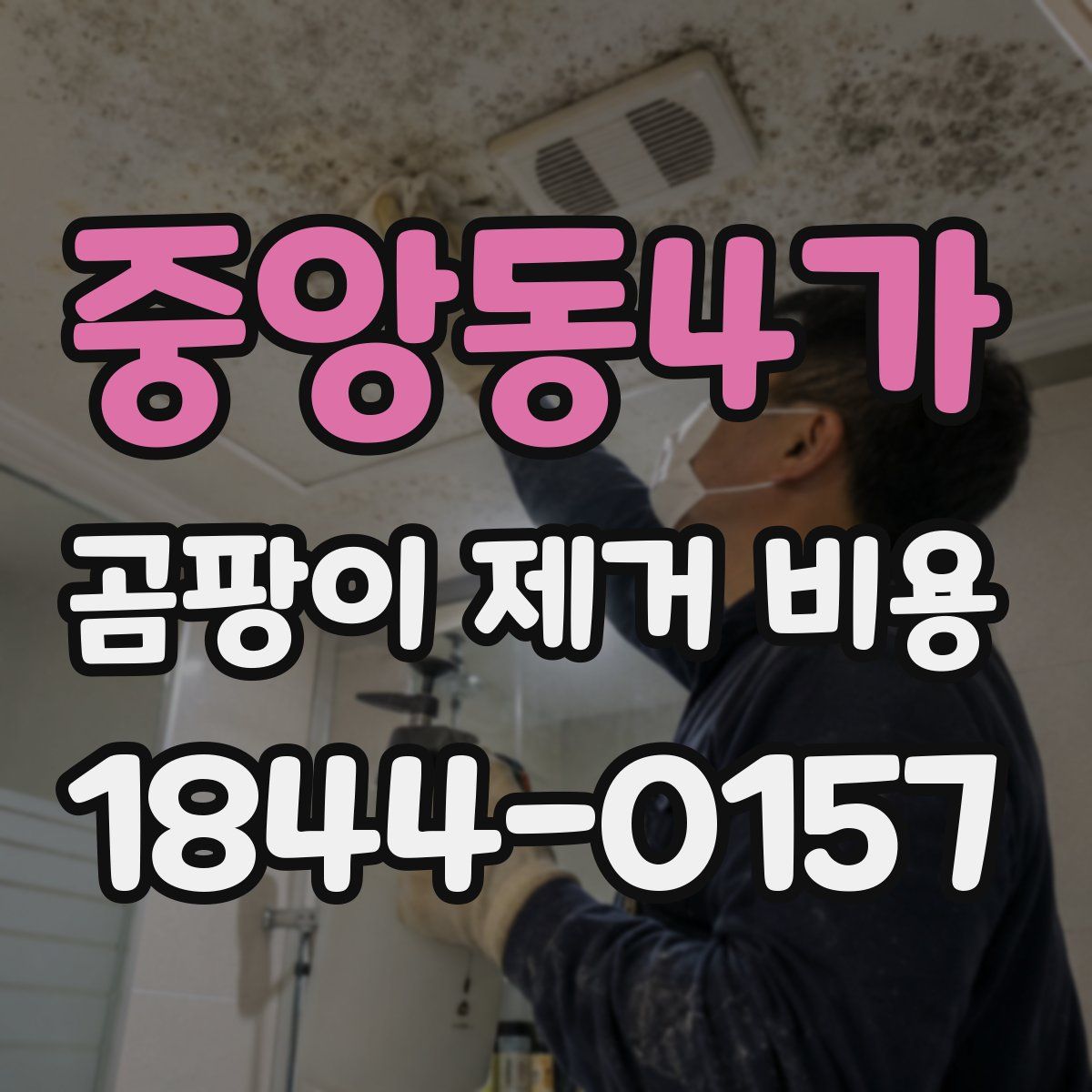 중앙동4가 곰팡이 제거 비용