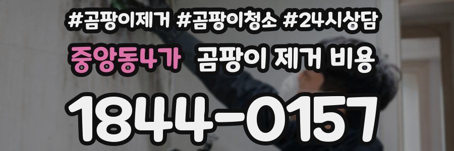 중앙동4가 곰팡이 제거 비용
