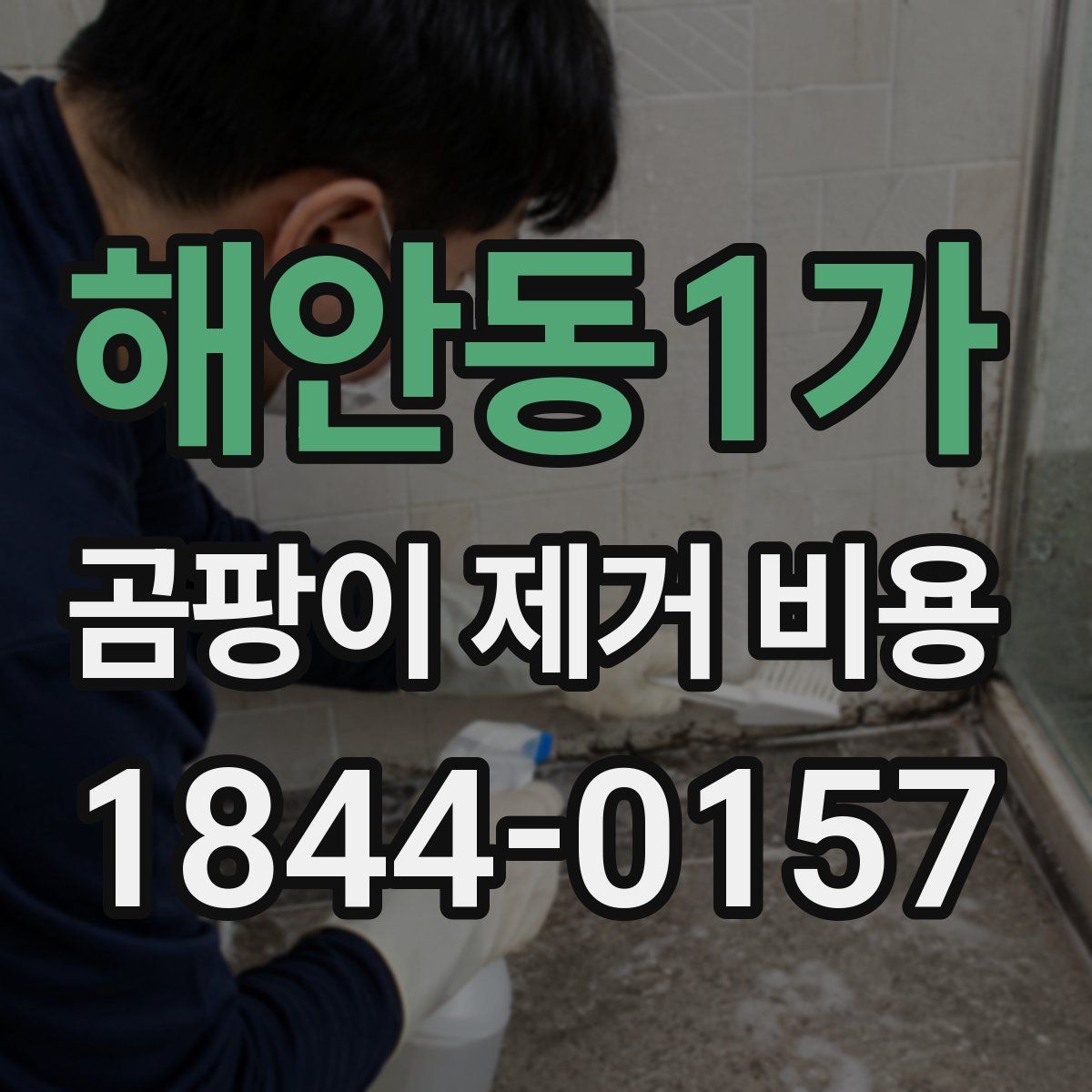해안동1가 곰팡이 제거 비용