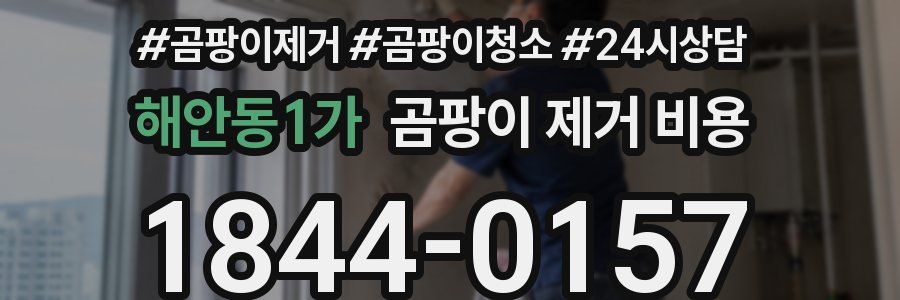 해안동1가 곰팡이 제거 비용