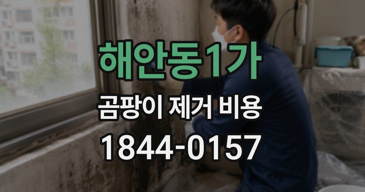 해안동1가 곰팡이 제거 비용