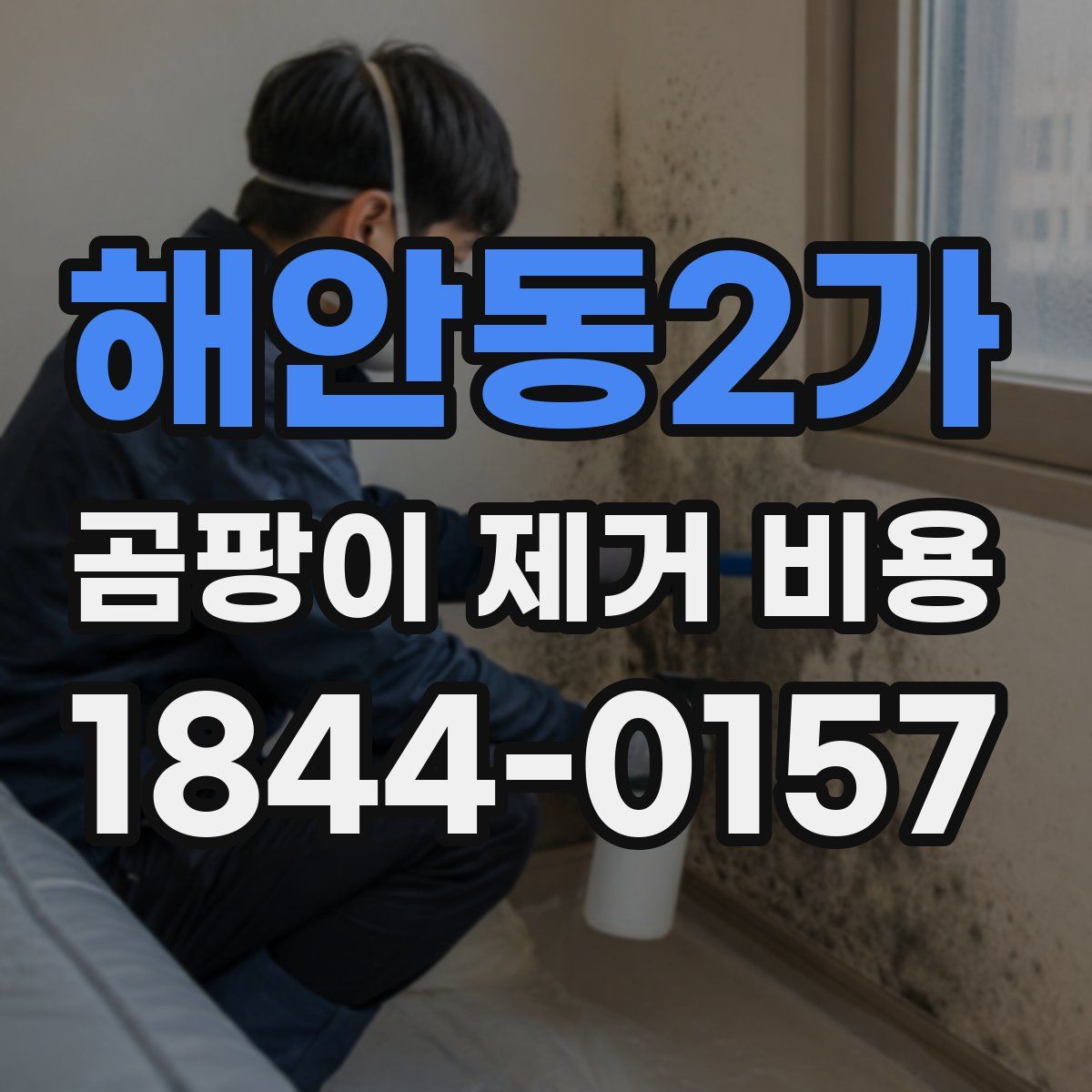 해안동2가 곰팡이 제거 비용