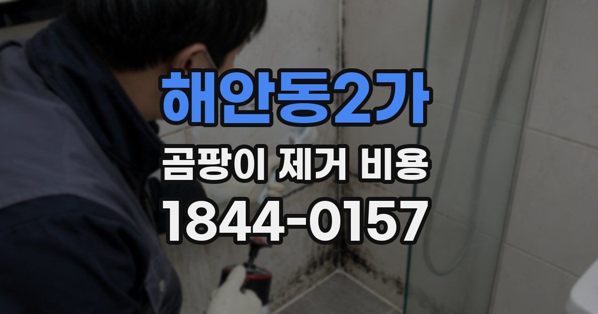 해안동2가 곰팡이 제거 비용