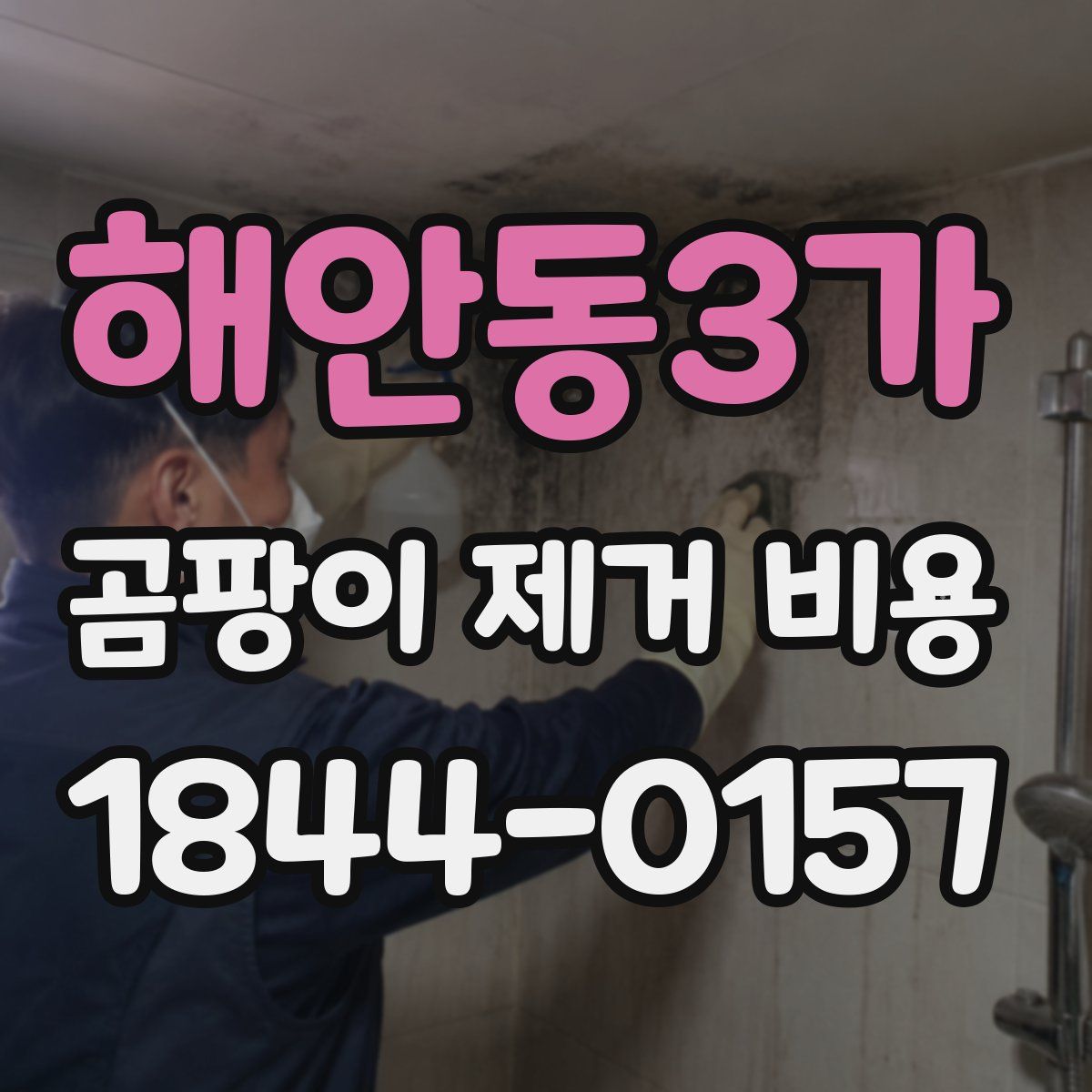 해안동3가 곰팡이 제거 비용