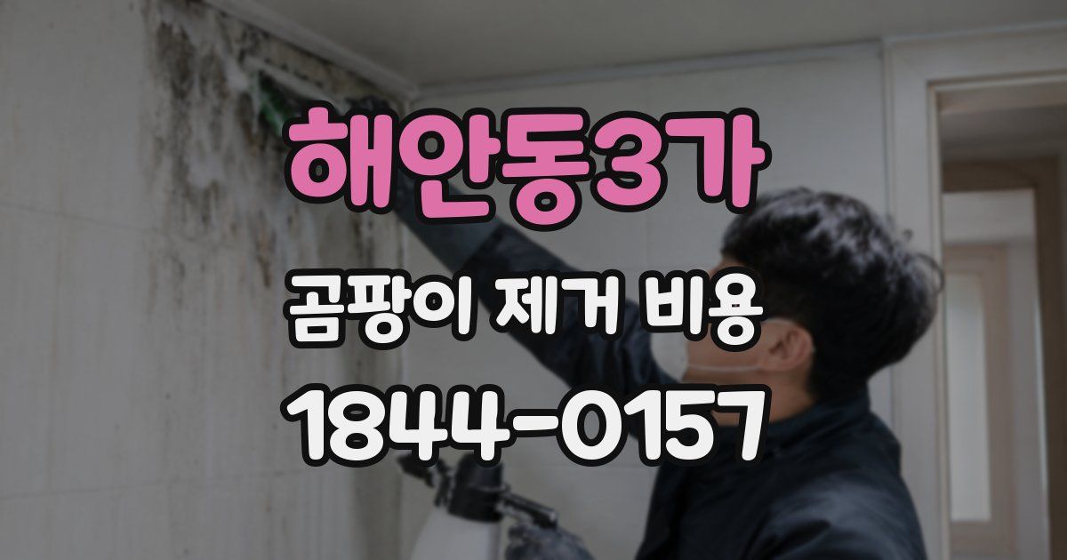 해안동3가 곰팡이 제거 비용