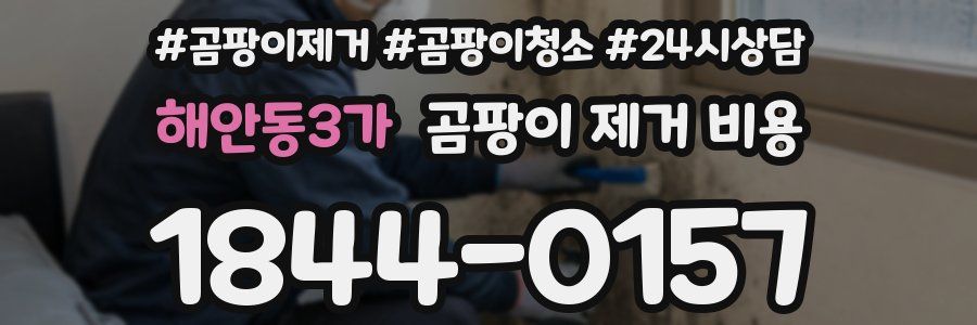 해안동3가 곰팡이 제거 비용