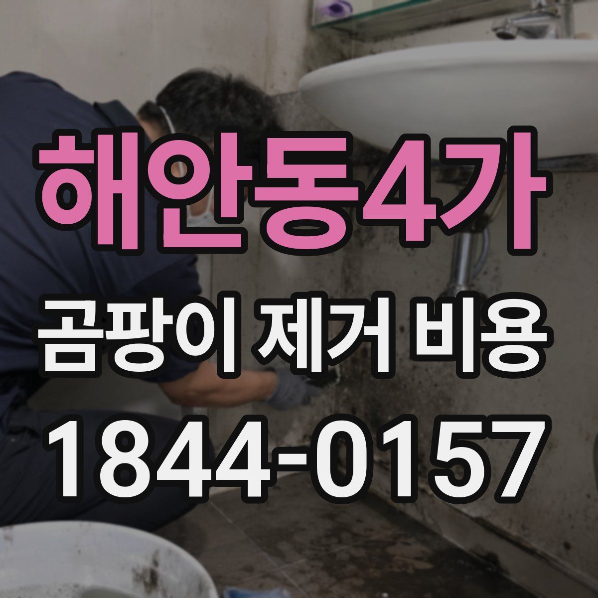 해안동4가 곰팡이 제거 비용