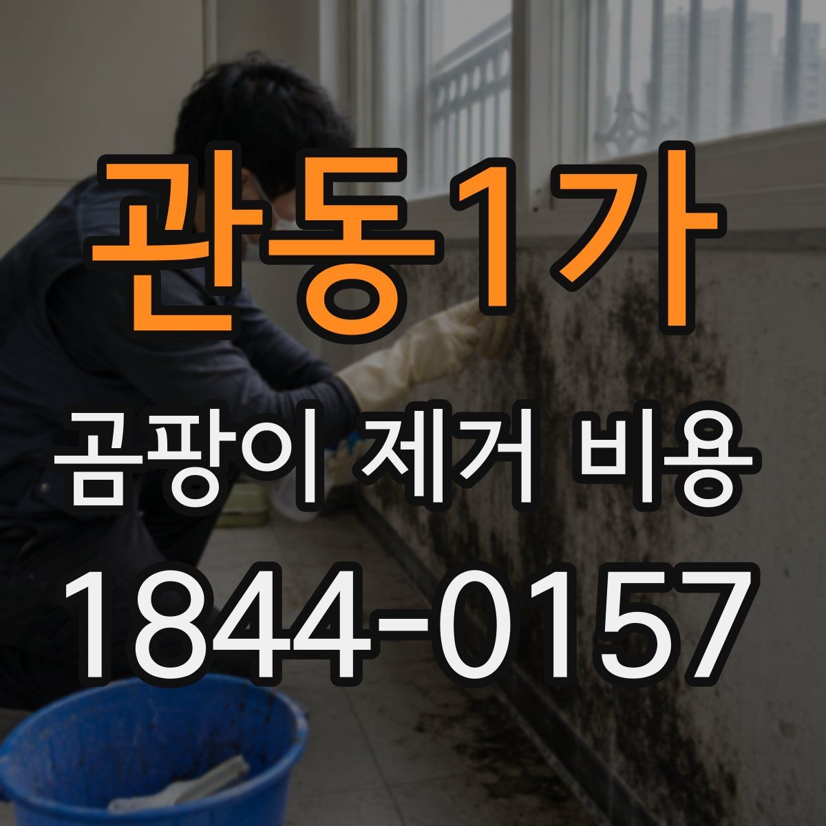 관동1가 곰팡이 제거 비용