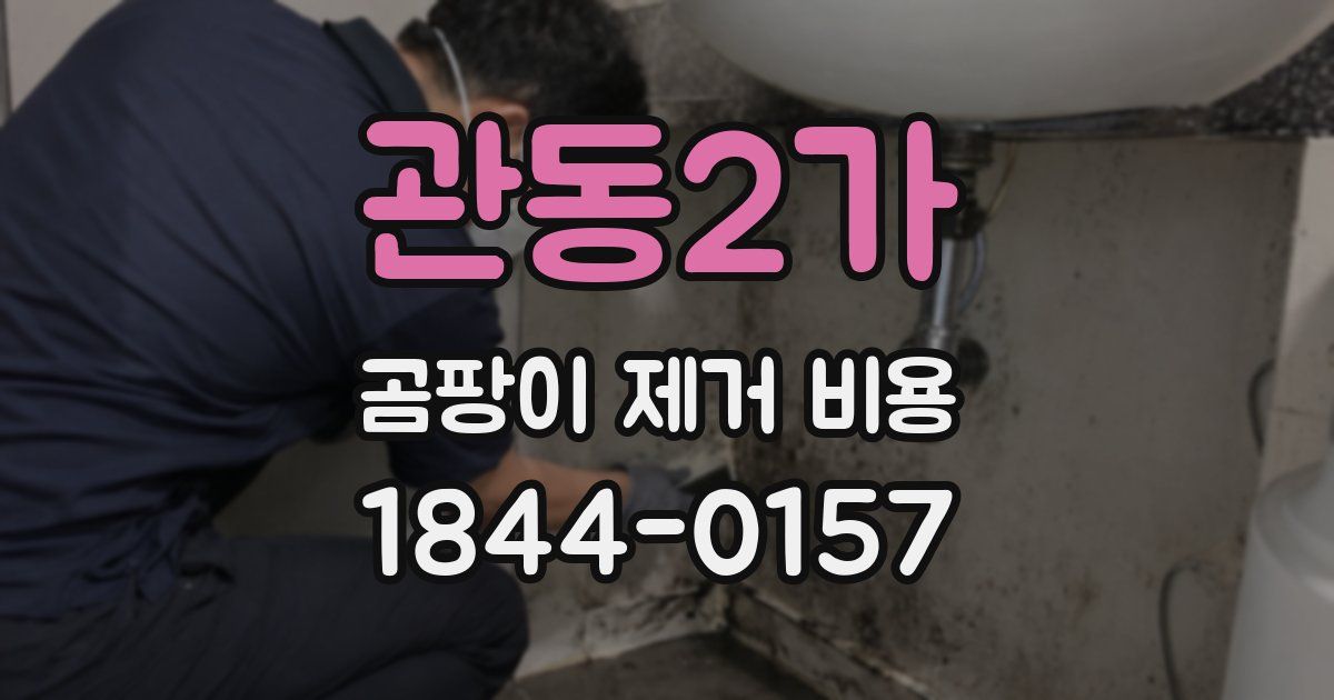 관동2가 곰팡이 제거 비용