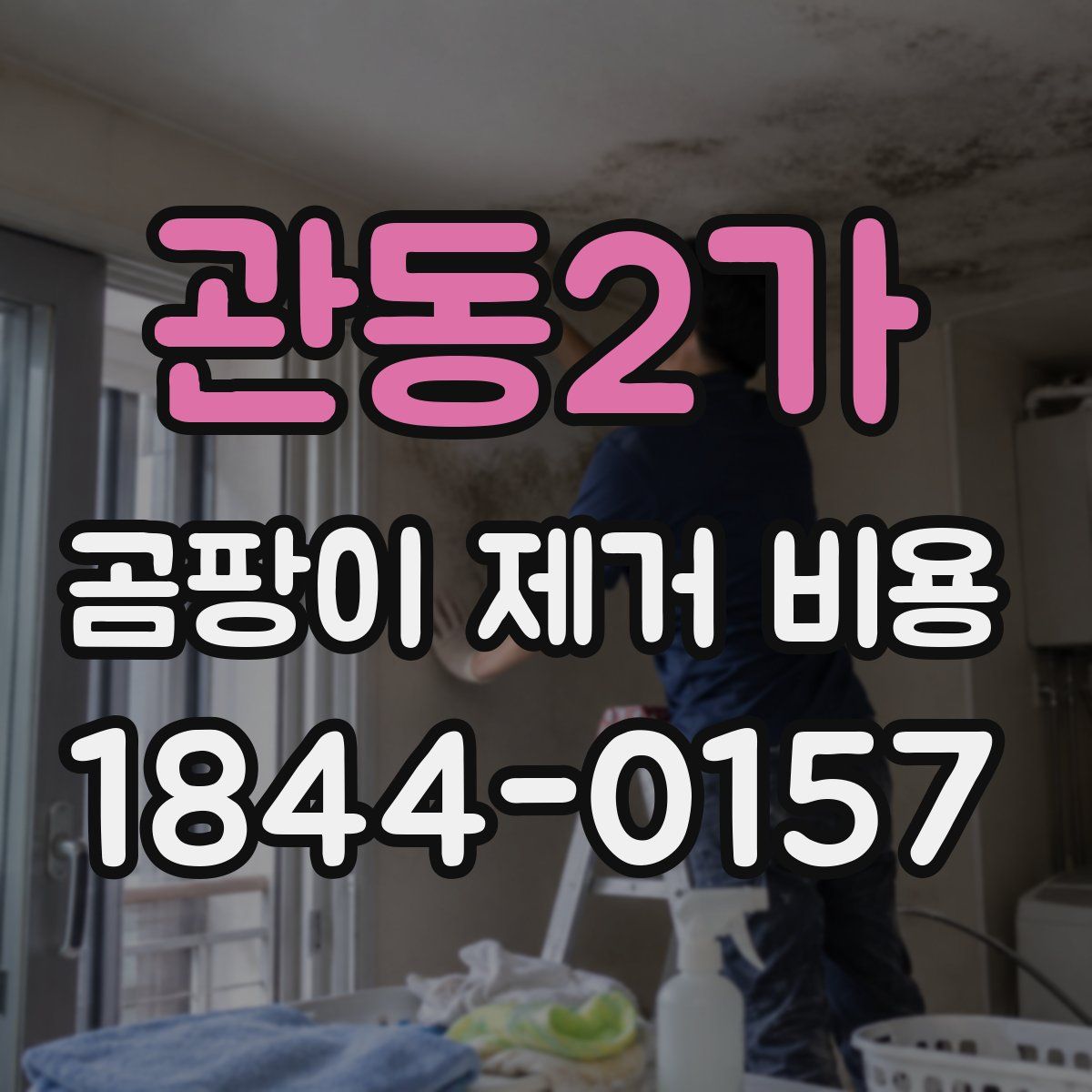 관동2가 곰팡이 제거 비용