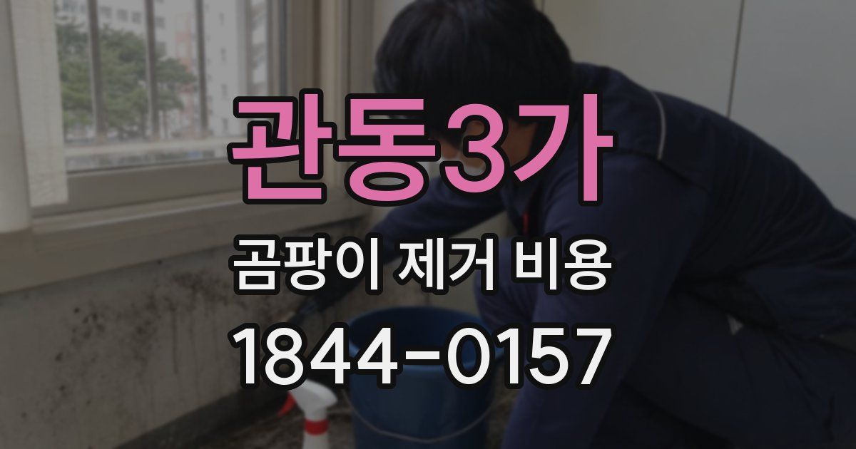 관동3가 곰팡이 제거 비용