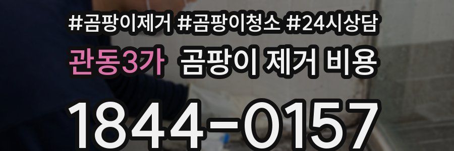 관동3가 곰팡이 제거 비용