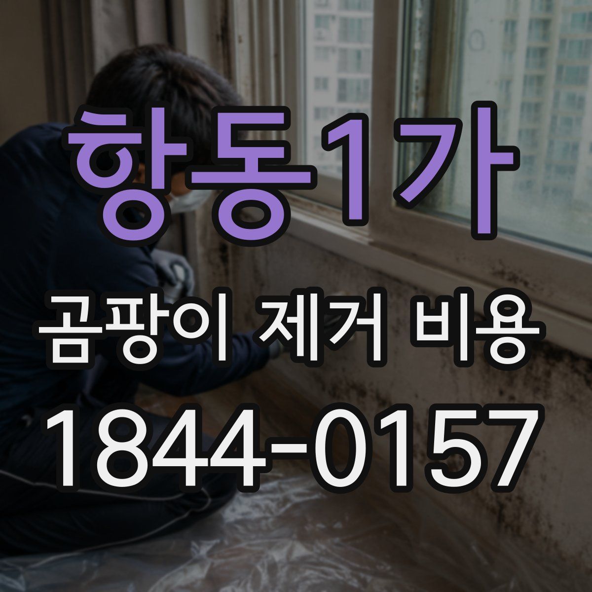 항동1가 곰팡이 제거 비용