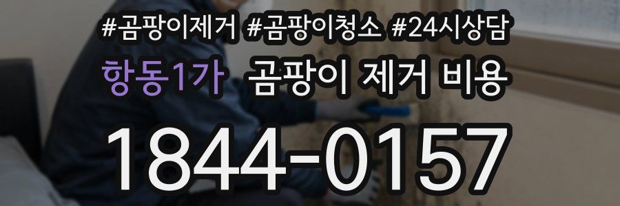 항동1가 곰팡이 제거 비용