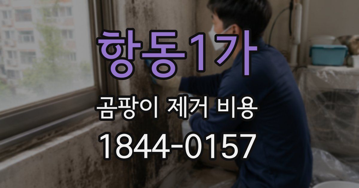 항동1가 곰팡이 제거 비용
