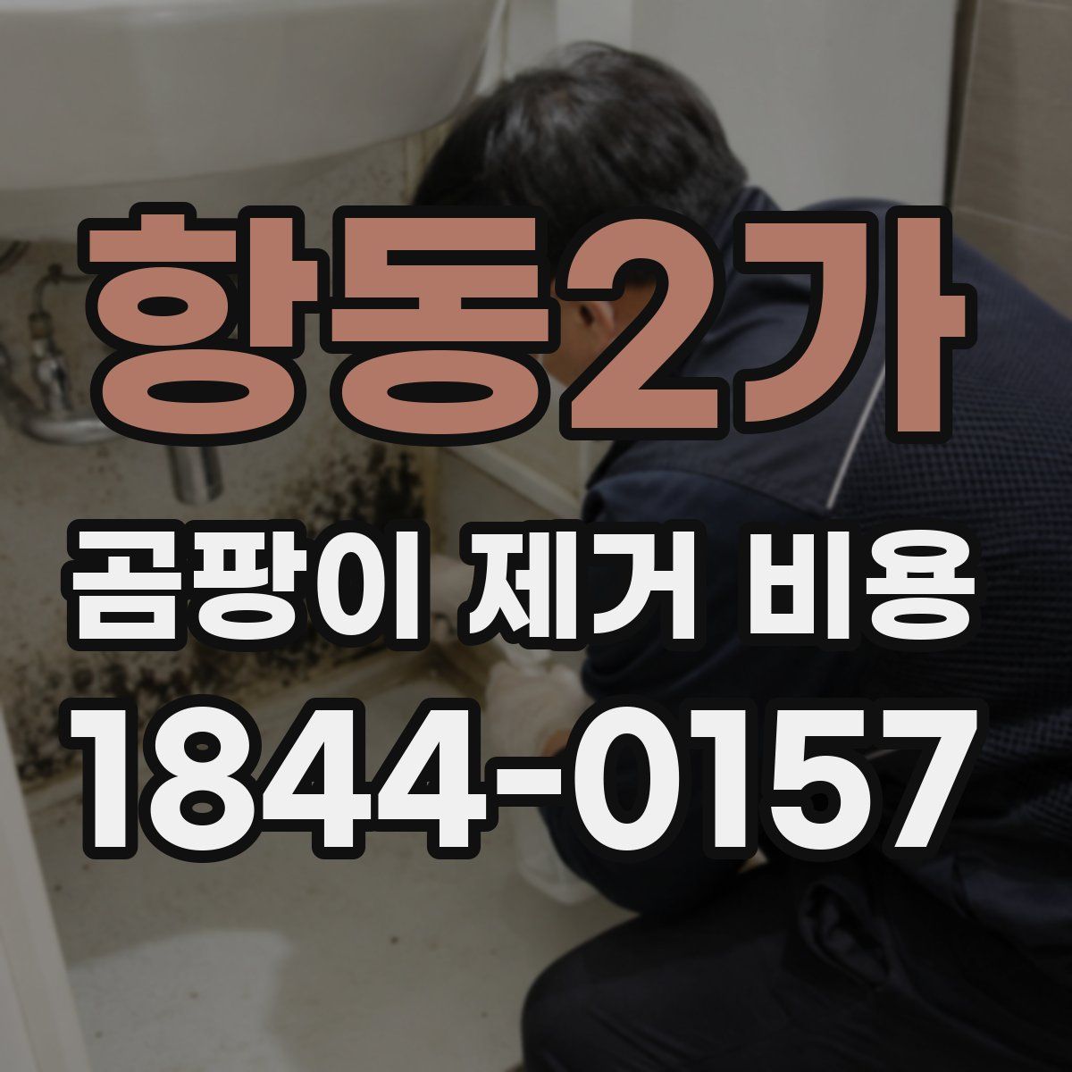 항동2가 곰팡이 제거 비용