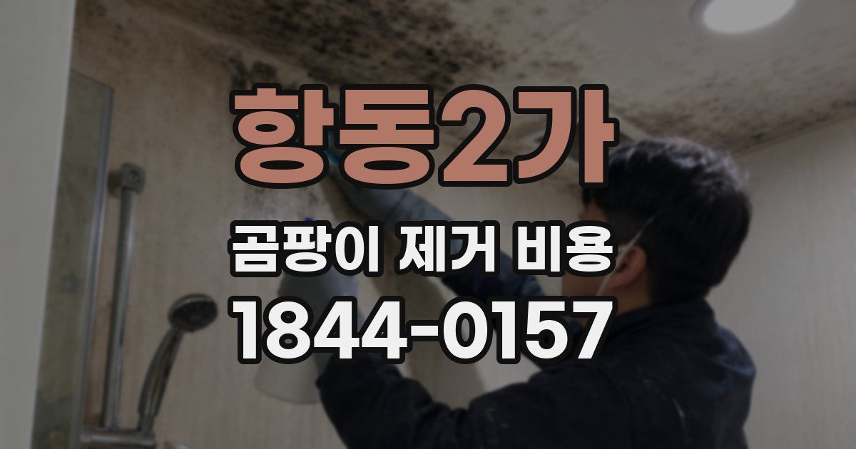 항동2가 곰팡이 제거 비용