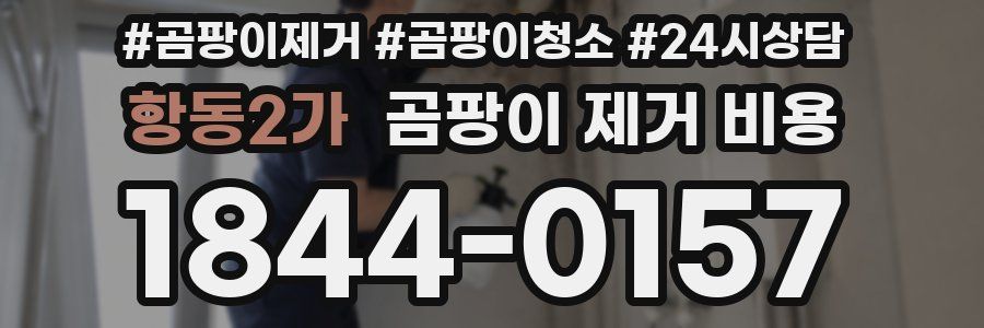 항동2가 곰팡이 제거 비용
