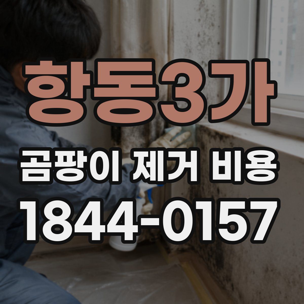 항동3가 곰팡이 제거 비용