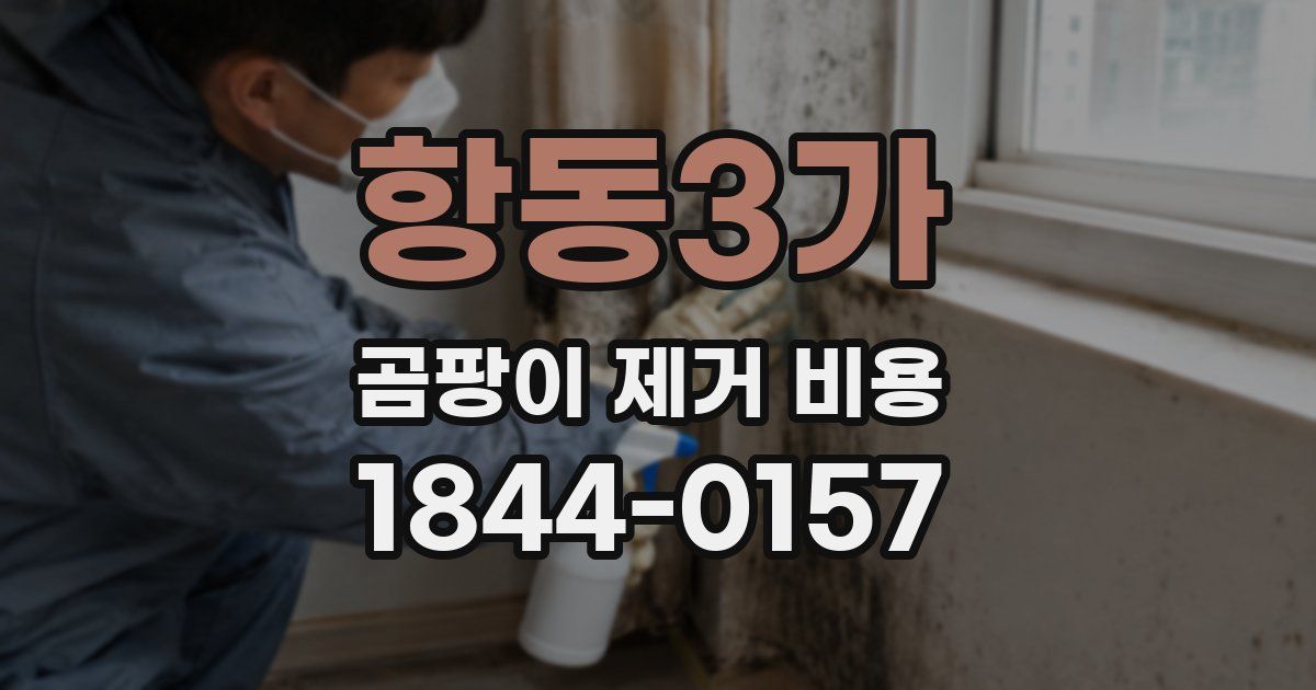 항동3가 곰팡이 제거 비용