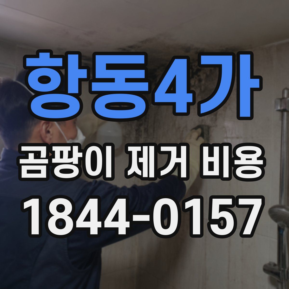 항동4가 곰팡이 제거 비용