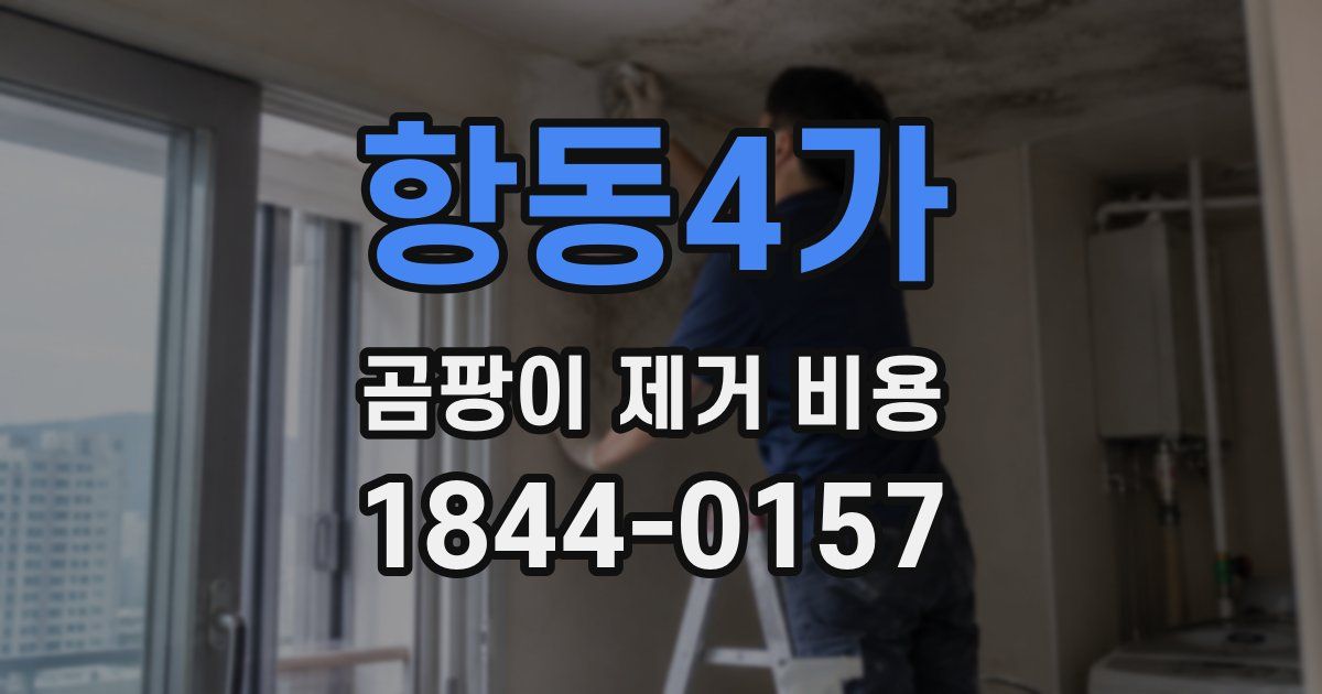 항동4가 곰팡이 제거 비용