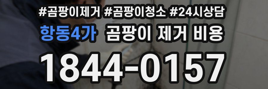 항동4가 곰팡이 제거 비용