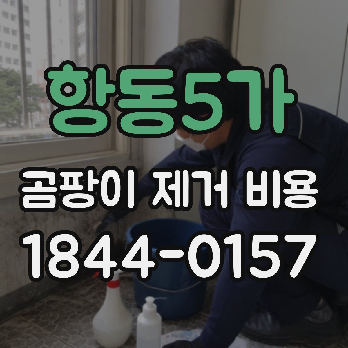 항동5가 곰팡이 제거 비용 벽면 시공과 천장 시공의 범위 비교